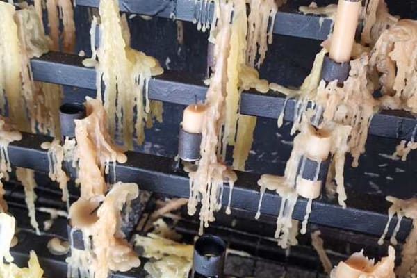 Foto 67 da atividade Galeria de Fotos