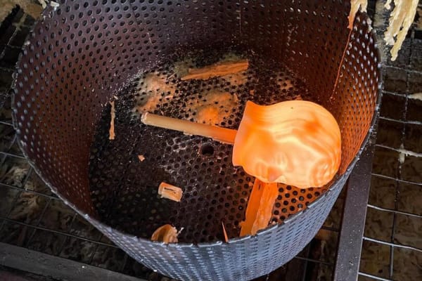 Foto 63 da atividade Galeria de Fotos