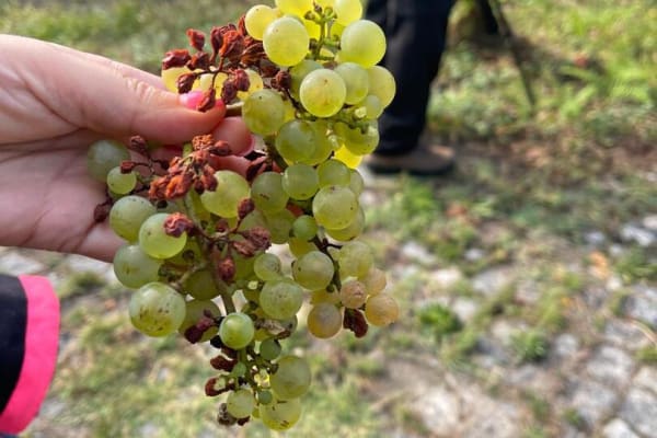 Foto 61 da atividade Galeria de Fotos