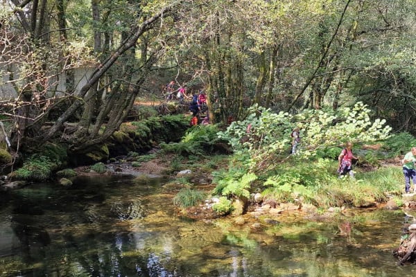 Foto 45 da atividade Galeria de Fotos