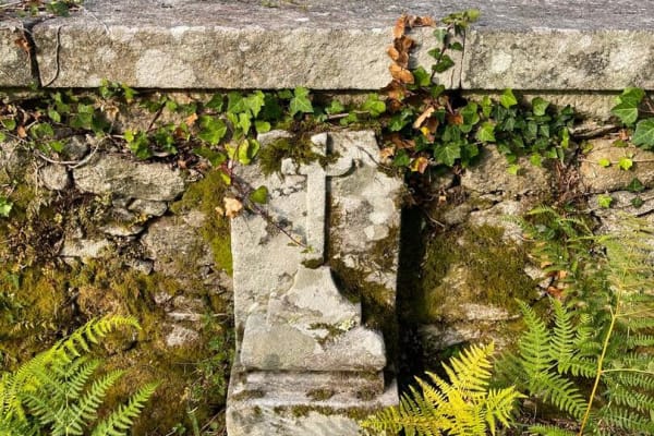 Foto 16 da atividade Galeria de Fotos