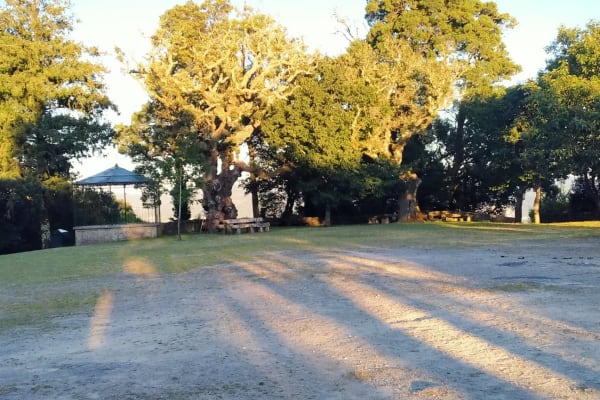 Foto 95 da atividade Galeria de Fotos