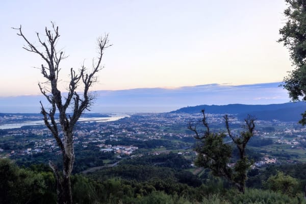 Foto 88 da atividade Galeria de Fotos