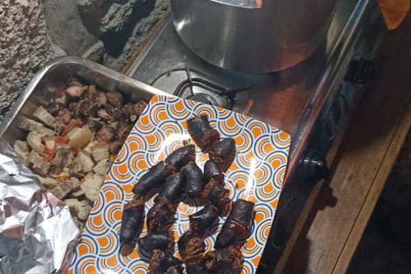 Foto 34 da atividade Galeria de Fotos