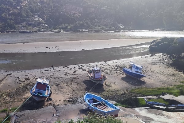 Foto 104 da atividade Galeria de Fotos