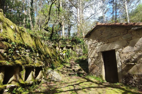 Foto 79 da atividade Galeria de Fotos