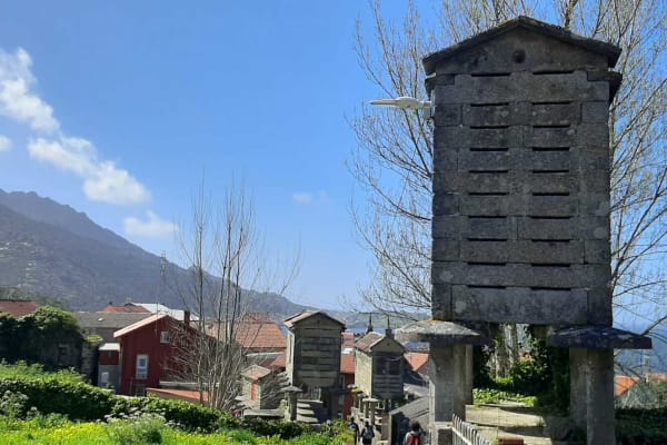 Foto 66 da atividade Galeria de Fotos