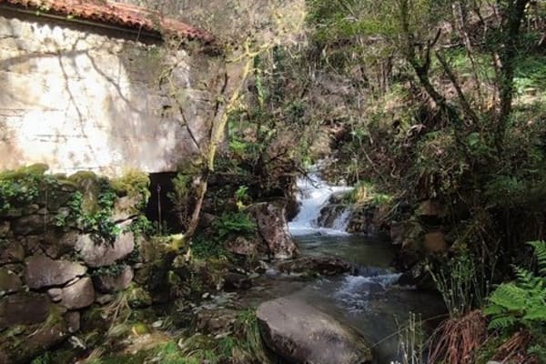 Foto 27 da atividade Galeria de Fotos