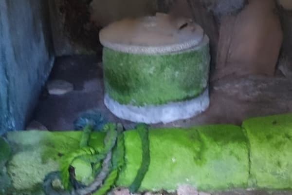 Foto 12 da atividade Galeria de Fotos