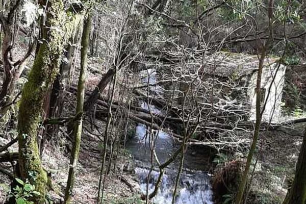 Foto 6 da atividade Galeria de Fotos