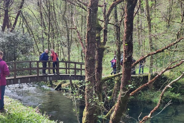 Foto 97 da atividade Galeria de Fotos