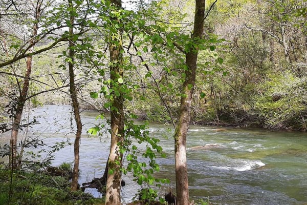 Foto 92 da atividade Galeria de Fotos