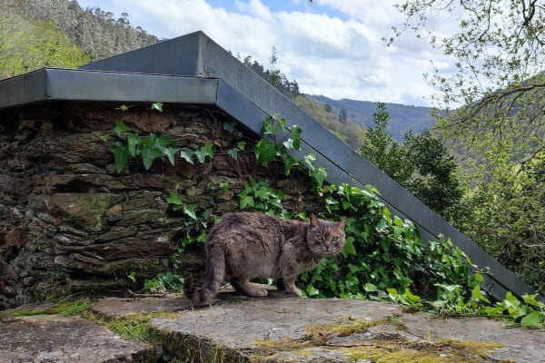 Foto 70 da atividade Galeria de Fotos