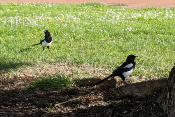 Foto 46 da atividade Galeria de Fotos