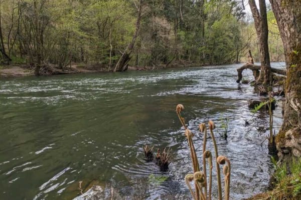 Foto 44 da atividade Galeria de Fotos