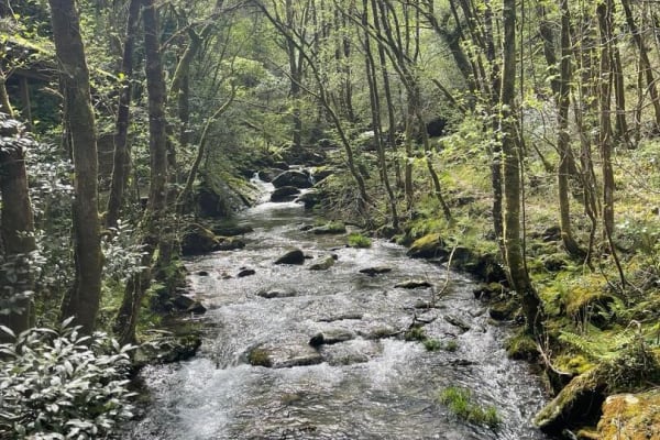 Foto 43 da atividade Galeria de Fotos