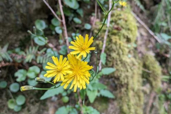 Foto 39 da atividade Galeria de Fotos