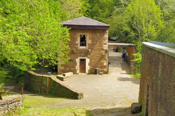 Foto 38 da atividade Galeria de Fotos