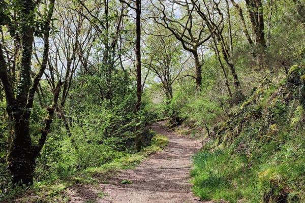 Foto 35 da atividade Galeria de Fotos