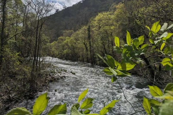 Foto 25 da atividade Galeria de Fotos