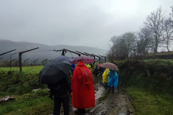 Foto 101 da atividade Galeria de Fotos