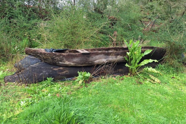 Foto 38 da atividade Galeria de Fotos