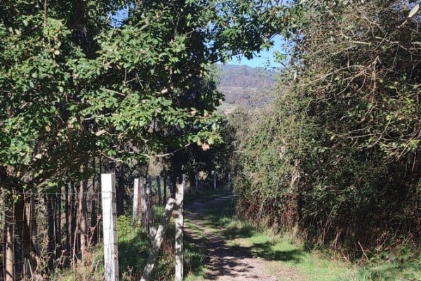 Foto 98 da atividade Galeria de Fotos