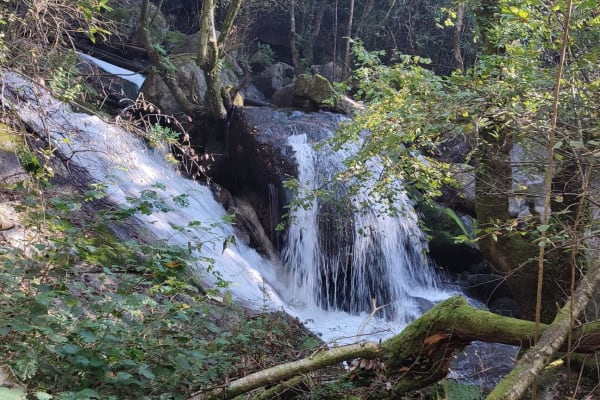 Foto 89 da atividade Galeria de Fotos