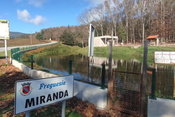 Foto 81 da atividade Galeria de Fotos