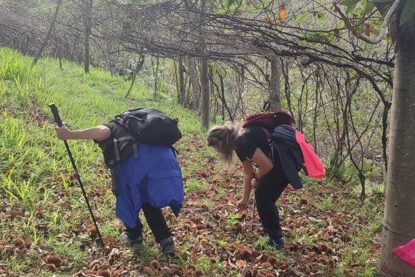 Foto 80 da atividade Galeria de Fotos