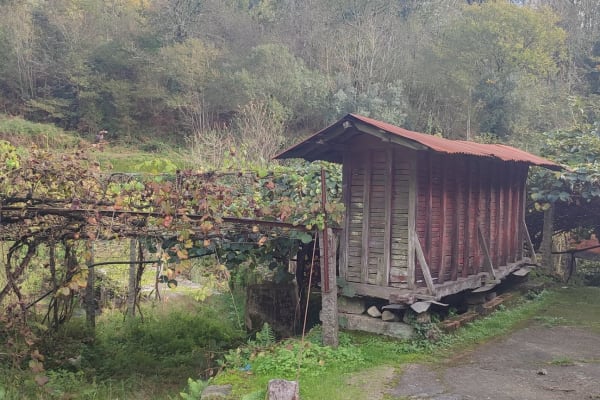 Foto 79 da atividade Galeria de Fotos