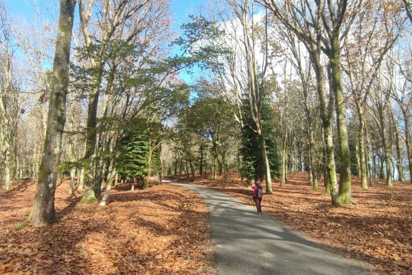 Foto 74 da atividade Galeria de Fotos