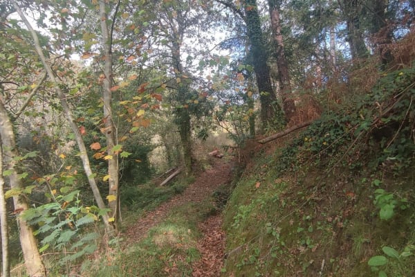 Foto 56 da atividade Galeria de Fotos