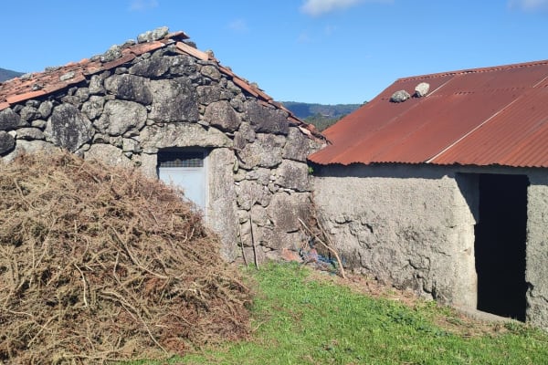 Foto 44 da atividade Galeria de Fotos