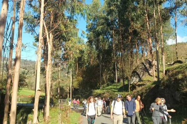 Foto 34 da atividade Galeria de Fotos