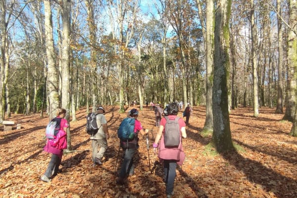 Foto 23 da atividade Galeria de Fotos