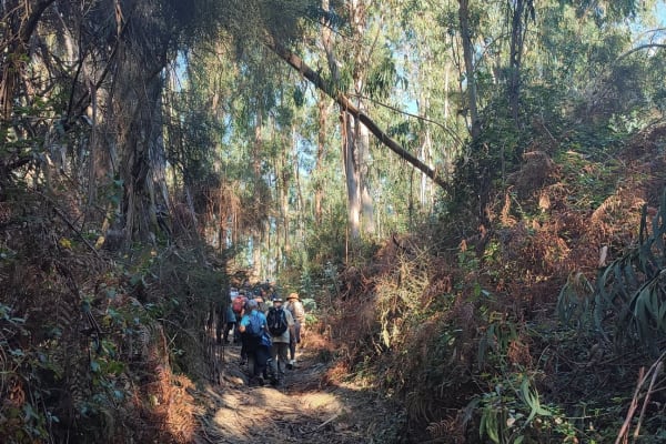 Foto 9 da atividade Galeria de Fotos