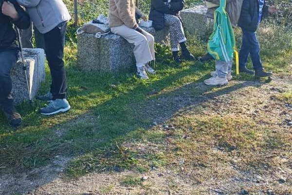 Foto 74 da atividade Galeria de Fotos