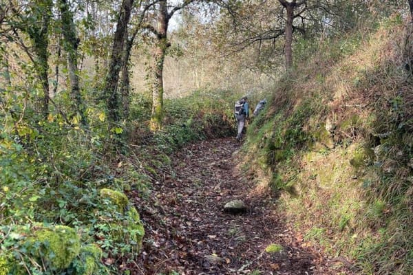 Foto 58 da atividade Galeria de Fotos