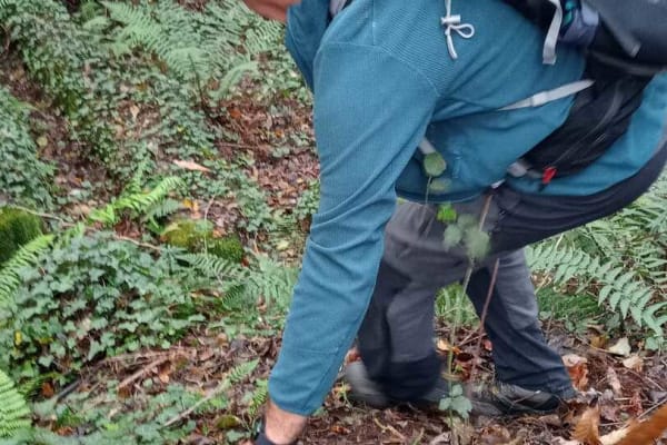 Foto 52 da atividade Galeria de Fotos