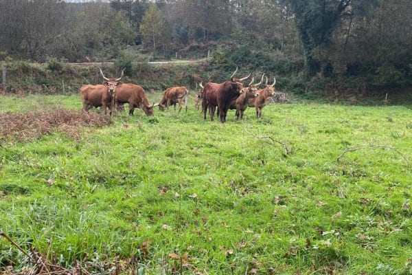 Foto 50 da atividade Galeria de Fotos