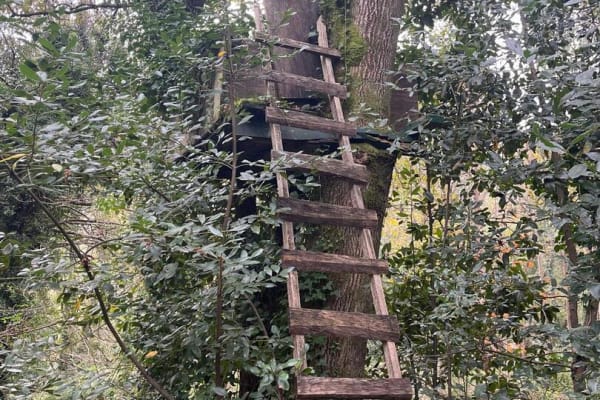 Foto 47 da atividade Galeria de Fotos