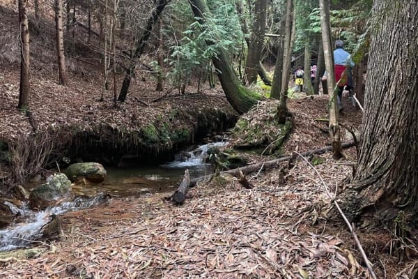 Foto 40 da atividade Galeria de Fotos