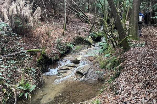 Foto 25 da atividade Galeria de Fotos