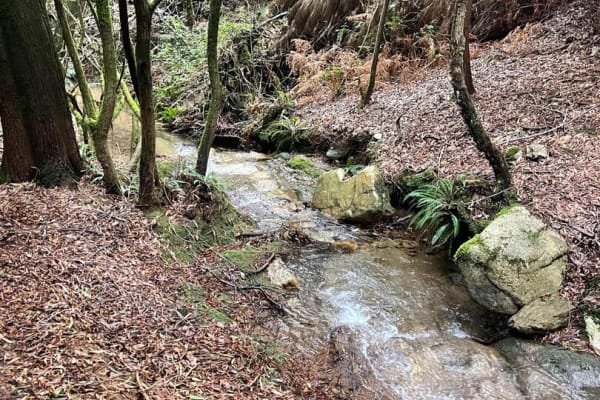 Foto 21 da atividade Galeria de Fotos