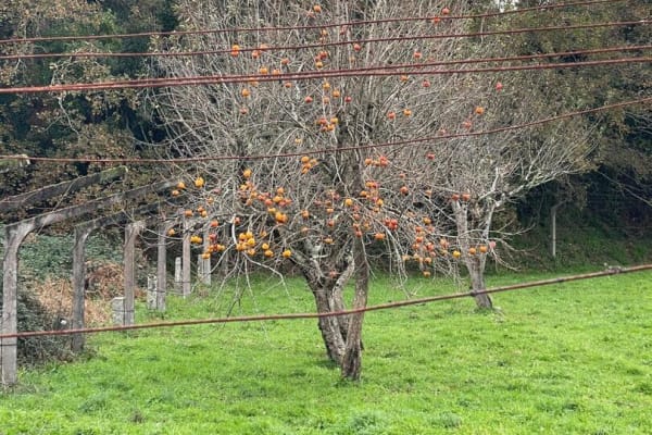 Foto 14 da atividade Galeria de Fotos