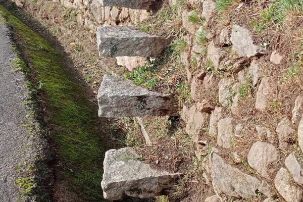 Foto 13 da atividade Galeria de Fotos