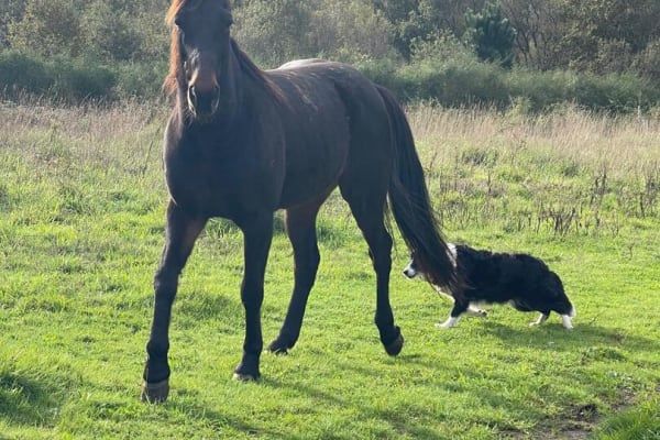 Foto 10 da atividade Galeria de Fotos