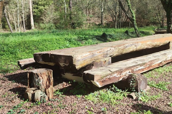 Foto 84 da atividade Galeria de Fotos