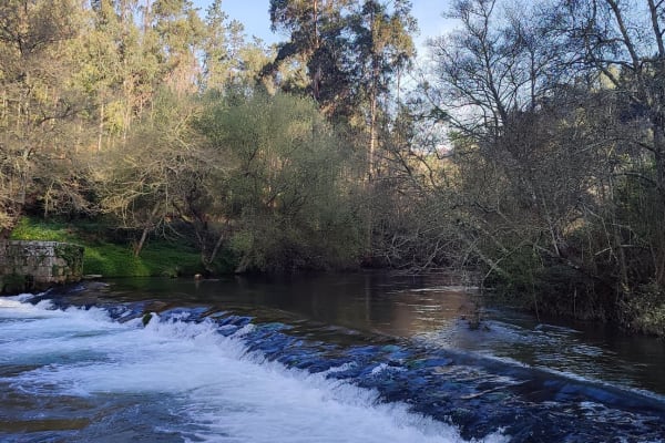 Foto 80 da atividade Galeria de Fotos